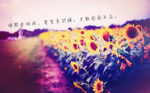 立志奋斗的格言