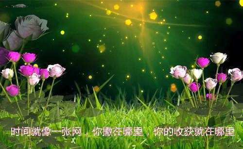 优美的励志词句精选