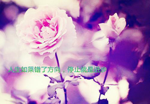 一句正能量的话励志格言大全