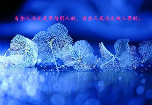 感恩贵人的名言