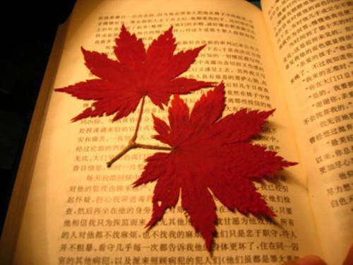 民间剪纸故事