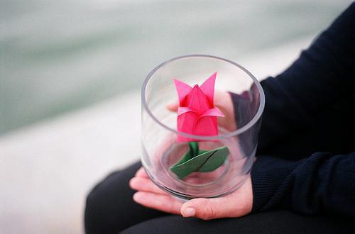 春节祝福四字词语