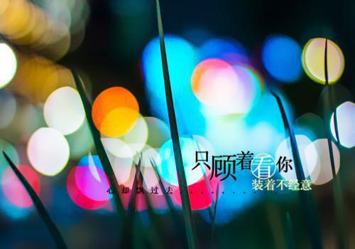 爸爸的爱优秀作文300字合集八篇