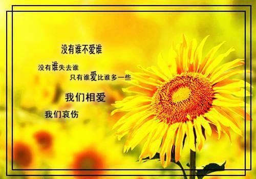 河马先生的魔术