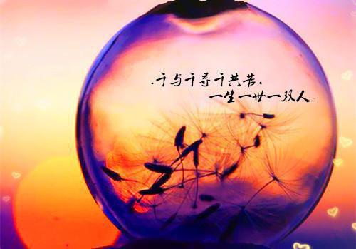 那份爱作文700字散文