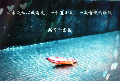 唯美爱情励志签名