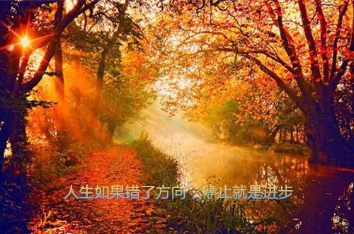 海尔总裁张瑞敏名言