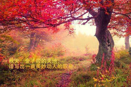 有关竹子励志诗句有哪些