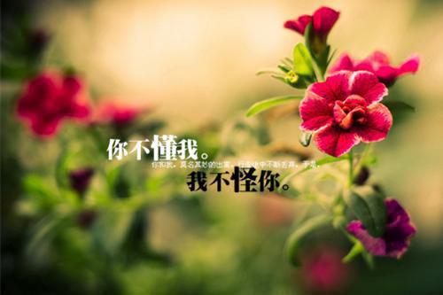 励志爱情诗句大全
