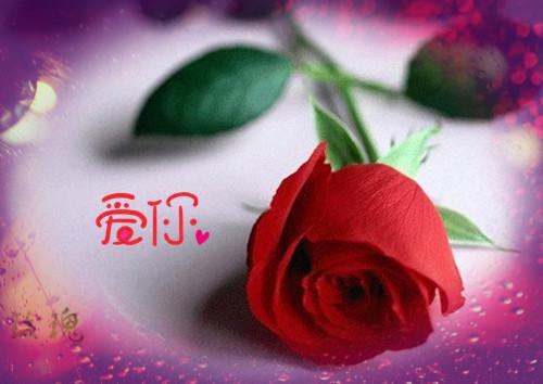 战马电影观后感