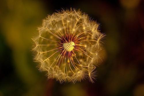 2024新上热文胡闹成就小说在线欧盈盈读-胡闹成就小说叫欧盈盈的小说（胡闹成就小说）完整版免费欧盈盈读全文