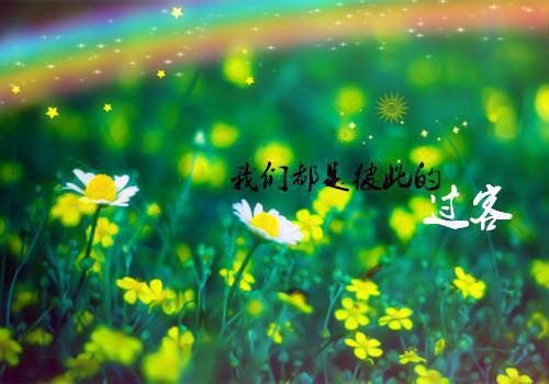爱你是一场戏热门小说(季溪顾夜恒)免费试读