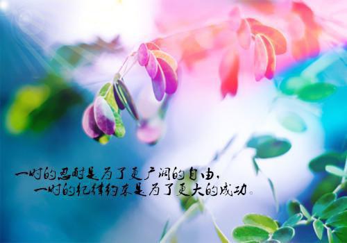 年终最新发掘唯美句子