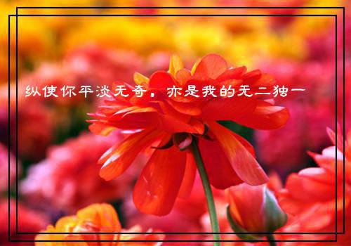 有关500字抒情散文摘抄