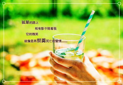 精选小学生谚语和歇后语