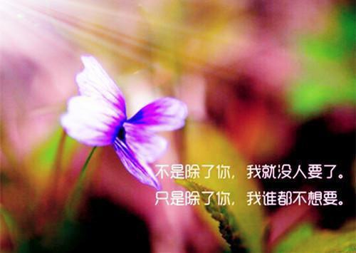 小学比赛日记