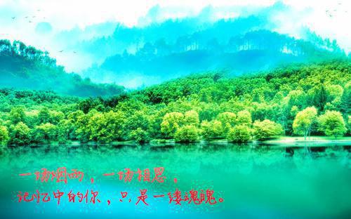 关于成功的花议论文范文