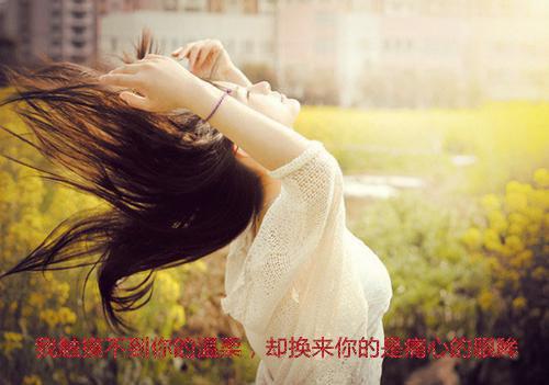 实用的观察植物日记作文300字汇编五篇