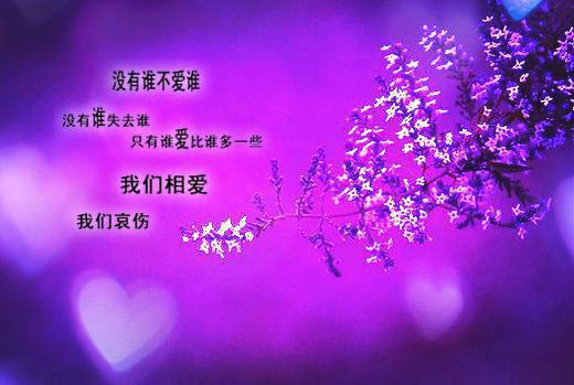 阳光积极的励志句子