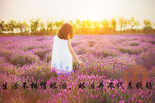 《我的青春谁做主》青春经典台词