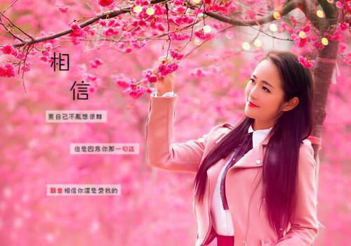 恭祝全市人民新年贺词