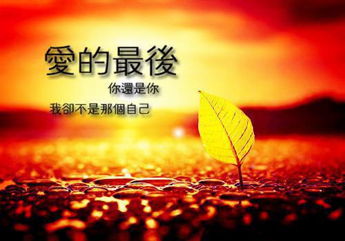 描写莲花的抒情散文欣赏