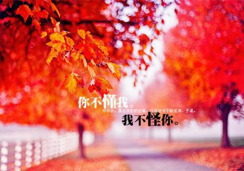 早上幽默问候语句