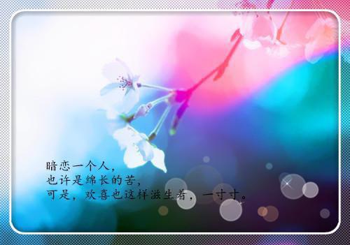 常用谚语精选
