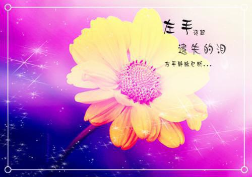 描写重阳节的千古佳句（精选125句）