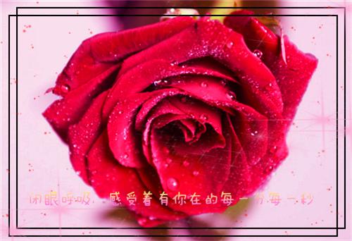关于学习的名人名言大全