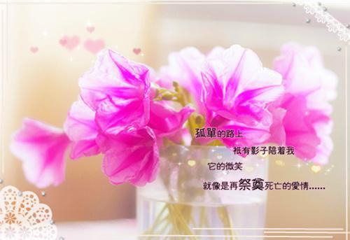 一生相守的优美散文