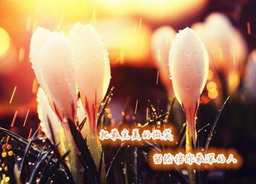 三生三世十里桃花经典台词
