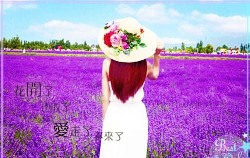 关于爱情的散文名篇