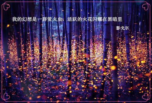 写满忧伤的情缘
