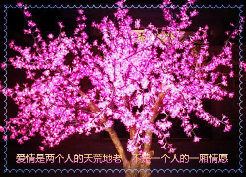 世界名人名言100条精选