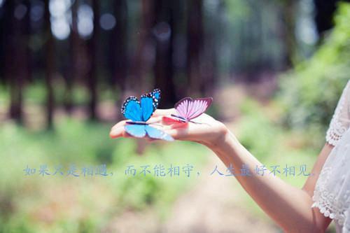 男生感人表白情书（精选33篇）