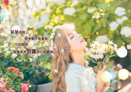 qq说说唯美句子