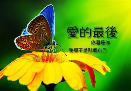 67岁小孩睡前故事