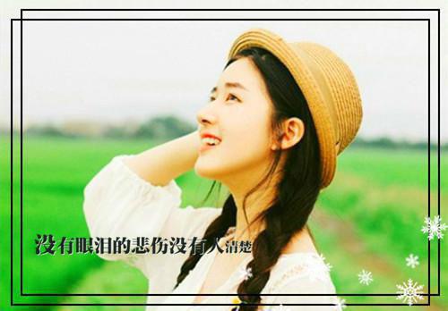 我不去想是否能够成功