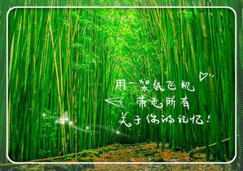 曾为人“师”