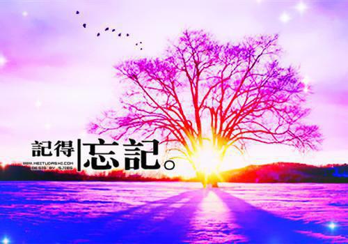 学习的经典名言