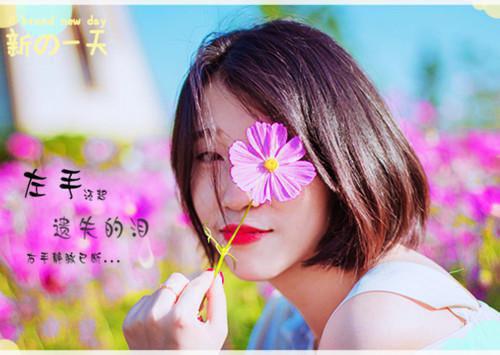 沈墨在南宋的卧底生涯沈墨陆云鬟全文完结版小说阅读