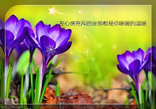 关于足球的名言警句