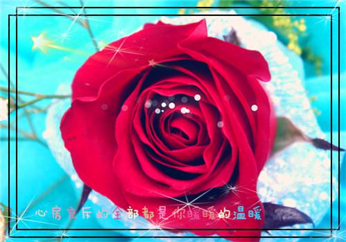 有關(guān)智慧的握分哲理故事：把握分寸的智慧