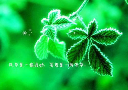 小学生演讲童话故事文字稿本