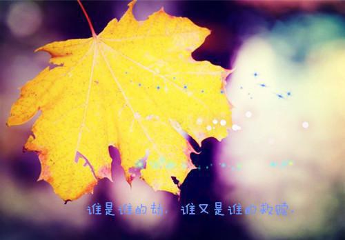 春天的日记100字（精选11篇）