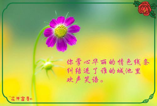 品讀數學小故事之奇妙的奇妙圓形
