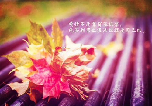 心花路放经典台词