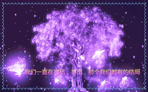 桃花心木林清玄读后感300字（通用5篇）
