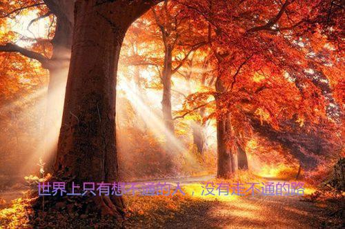 关于大学军训日记范文锦集9篇